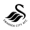 icon-swansea