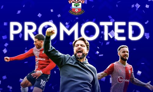 Promoted Teams Analysis – Southampton